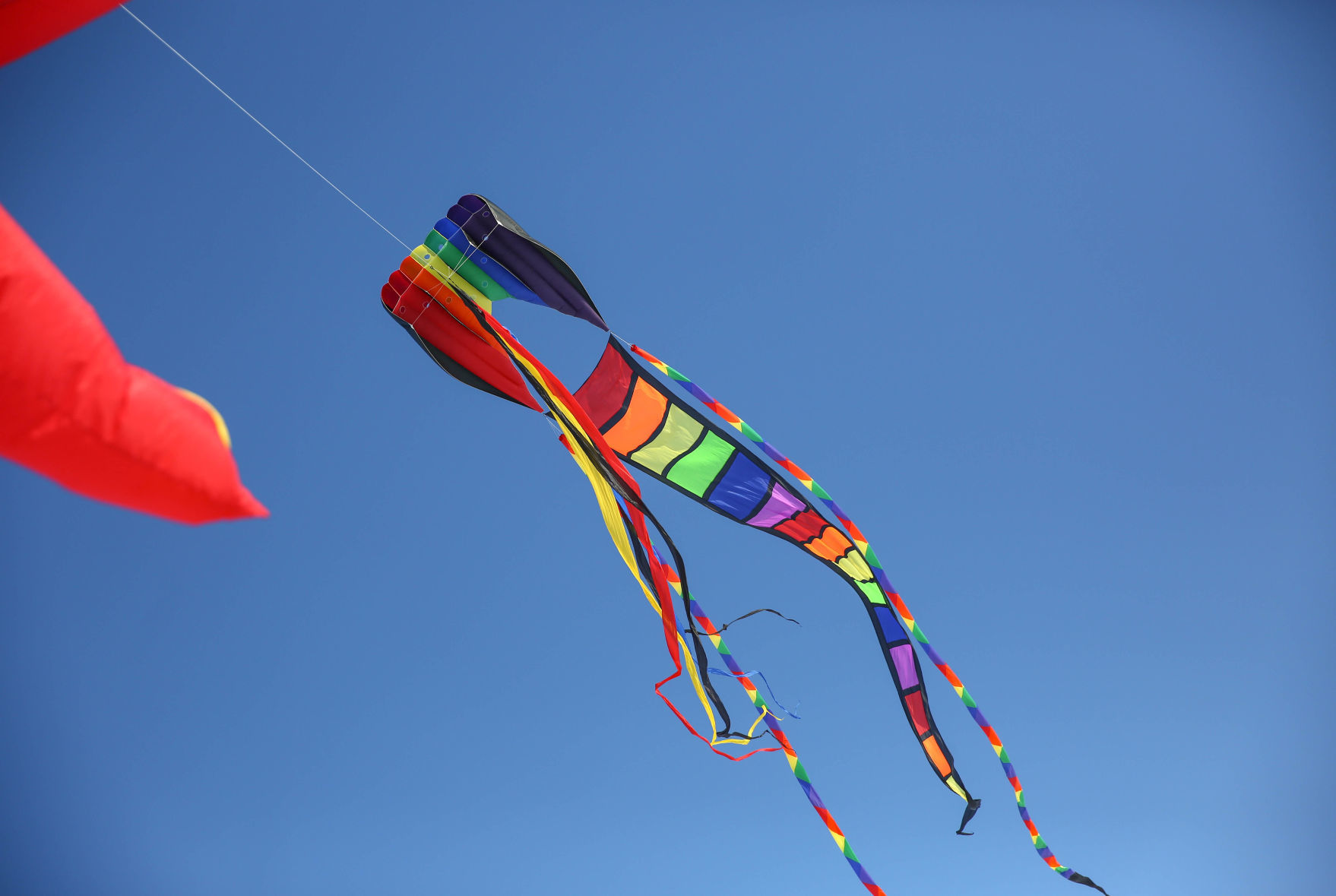Color the Wind kite festival 02-15-2020 (52).jpg
